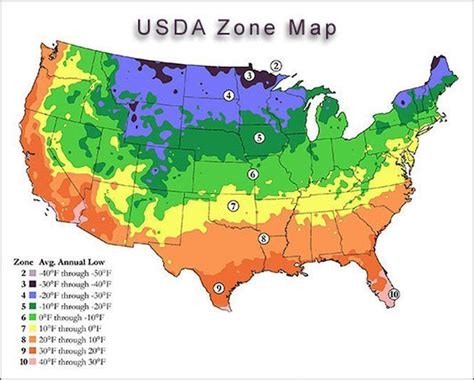 Understanding Cold Hardiness and Heat Zones | Triangle Gardener Magazine