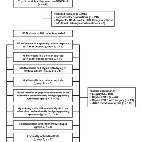 Flowchart of thyroid nodules with fine-needle aspiration biopsy (FNAB)... | Download Scientific ...