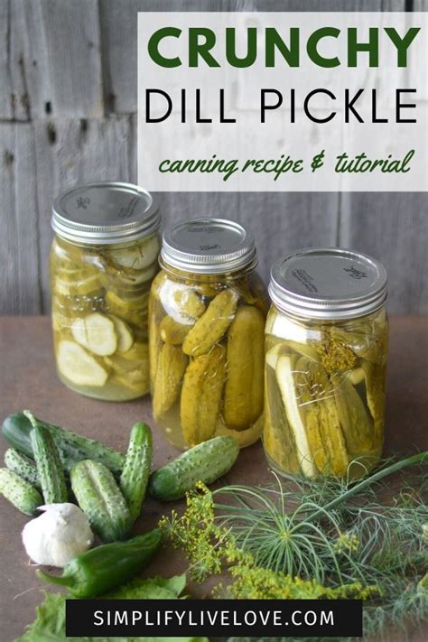 Dill Pickles Canning Tutorial + Grandma's Secret Recipe | Simplify Live ...