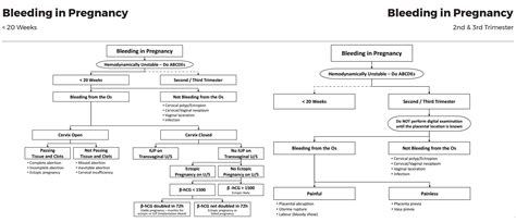 Causes Of Early Bleeding In Pregnancy - vrogue.co