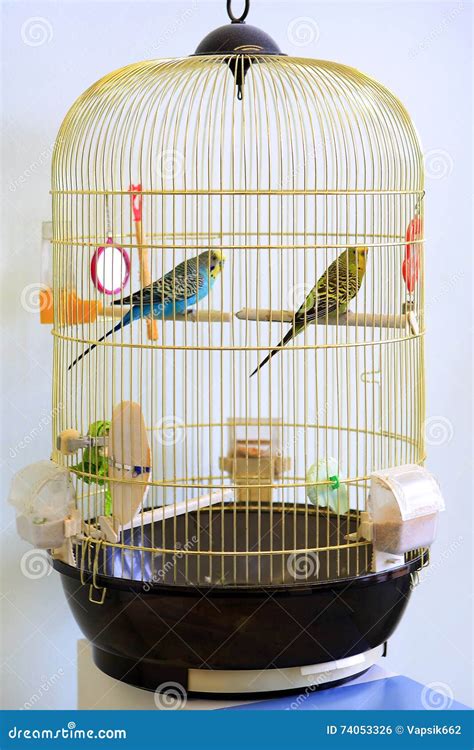 Love Birds Cage