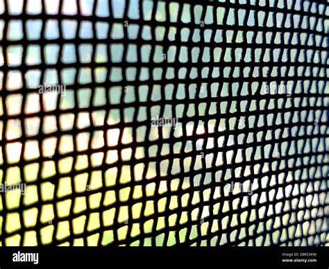 An iron window mosquito metal net and out side world Stock Photo - Alamy