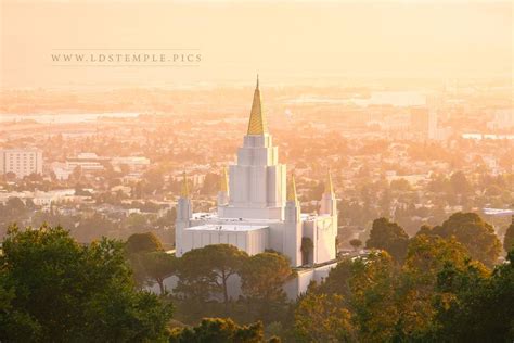 Oakland Temple Summer Sunset - LDS Temple Pictures