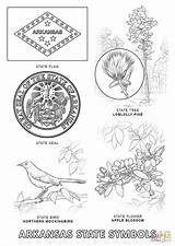 Florida State symbols coloring Page Free Printable Pages – Artofit sketch template