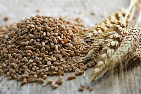 Habitual whole grain consumption benefits health