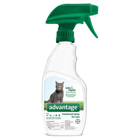 Carpet Flea Spray Safe Cats - Carpet Vidalondon