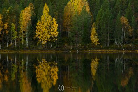 The Norwegian Autumn | Norway Travel Guide