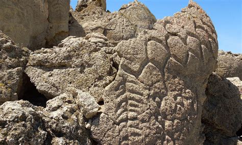 Ancient petroglyphs found in Nevada could be oldest rock carvings in ...