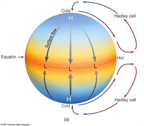 Hadley cells