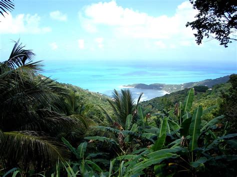 Sage Mountain National Park (Tortola, BVI) | LAC Geo