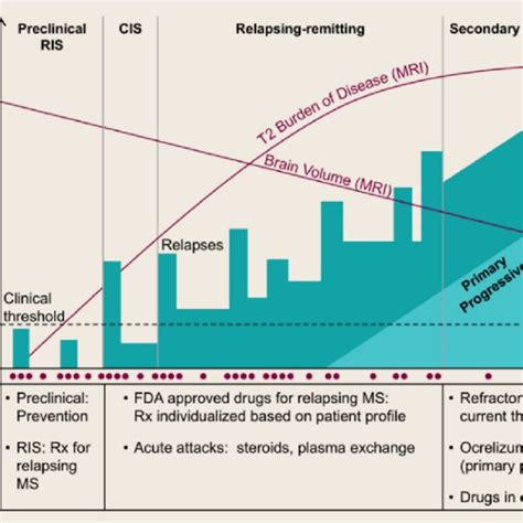 Effector T cells in multiple sclerosis (with the permission of [2 ...