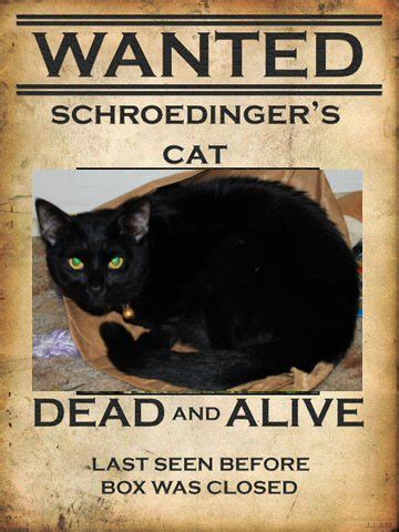 The Famous Schrodinger's Cat Paradox