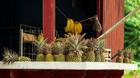 The Antigua Black Pineapple Is Said To Be The Sweetest In The World