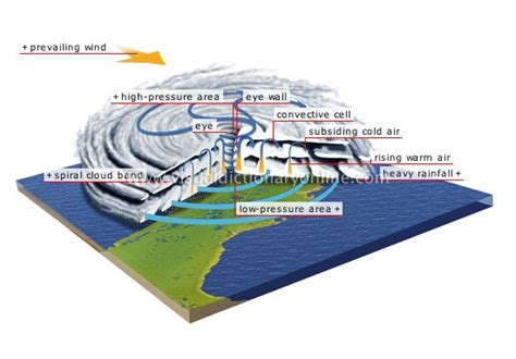 Tropical Cyclones: Favorable Conditions for Formation, Stages of ...