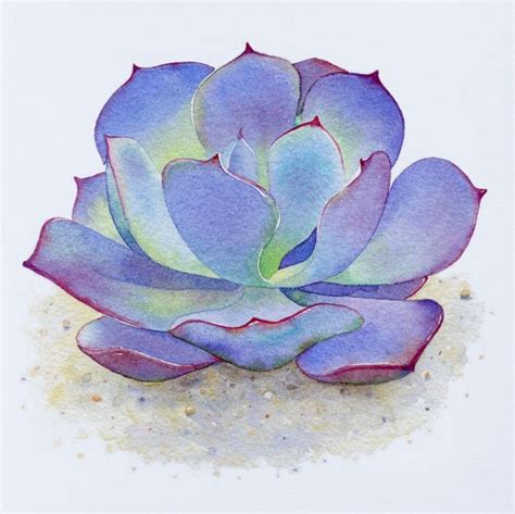 Pin by Diana Jackson on Succulent | Succulent painting, Watercolor succulents, Cactus art