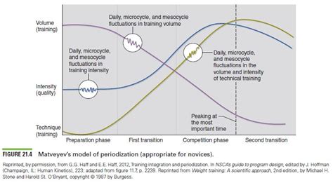 Preparatory Period