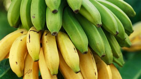 The Easy Way To Tell When A Plantain Is Ripe - The Daily Meal - TrendRadars