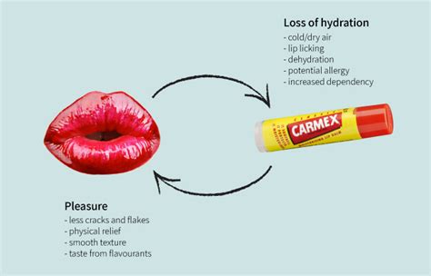 Is Lip Balm Addictive? | Office for Science and Society - McGill University