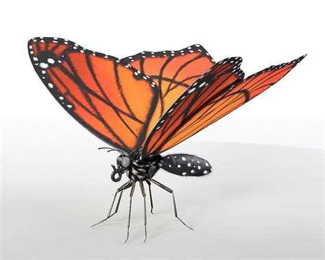 Butterfly 3D Model on Cubebrush.co | Cinema 4d render, Pbr, 3d model