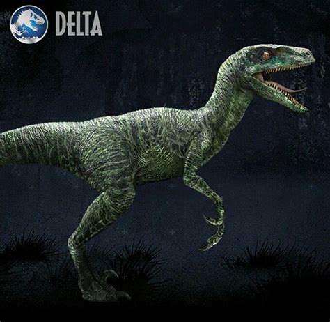 Raptor squad Delta | Jurassic world raptors, Jurassic world, Jurassic park