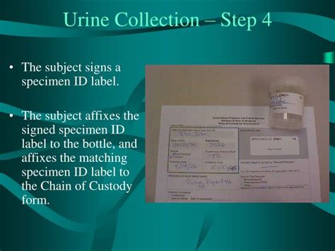 PPT - Urine Collection and Chain of Custody Procedures PowerPoint Presentation - ID:3014545