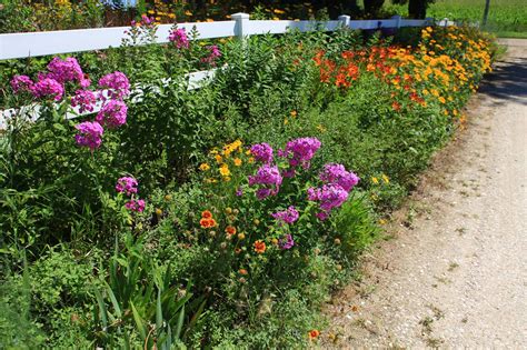 Planting In Zone 5: Gardening Tips For Zone 5 | Garden planning, Gardening zones, Shade garden