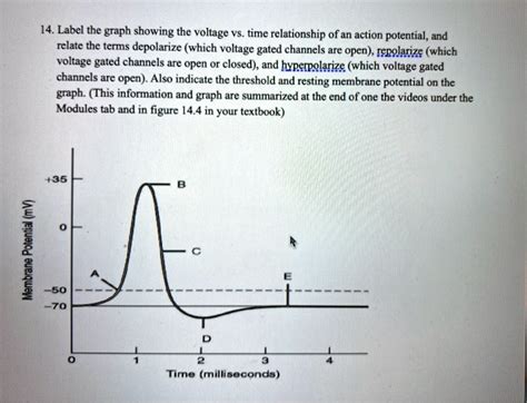 SOLVED: 14. Label the graph showing the voltage-vS. time relationship ...