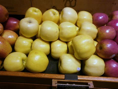 Aurora (Golden Gala) Apples