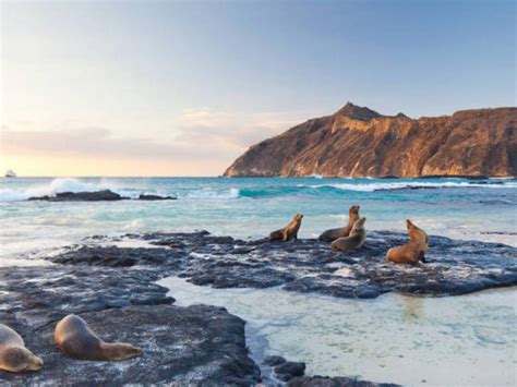 Parque Nacional Galápagos cumple 60 años en “buen estado de salud”