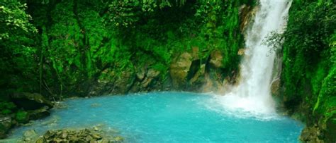 Tenorio Volcano National & Rio Celeste or Blue River, Costa R