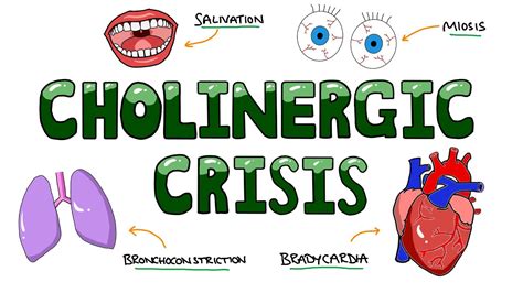 Signs and Symptoms of Cholinergic Crisis - DUMBBELLS Mnemonic - YouTube