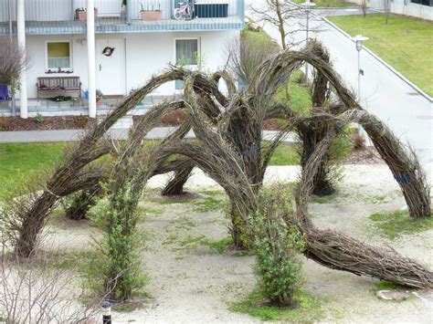 Ein desolater Weidendom... - Krems