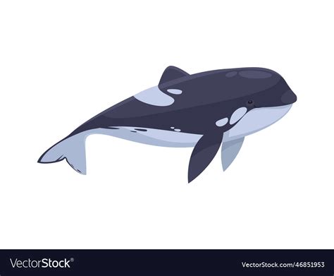 Flat orca whale Royalty Free Vector Image - VectorStock