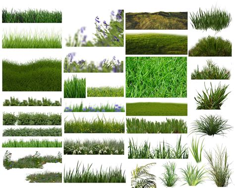 Grass Photo Overlays Glade Photoshop Overlays Grass Png - Etsy