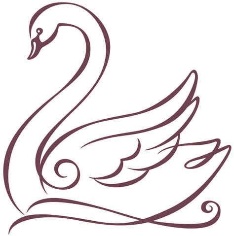 Swan Drawing Images at GetDrawings | Free download