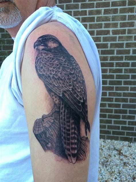 Falcon Tattoos Designs, Ideas and Meaning | Tattoos For You