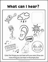 Best 5 Senses Coloring Pages Free & Easy Print  The Simple Homeschooler sketch template