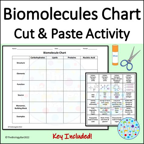 Biomolecules Chart for Macromolecules Review | Made By Teachers