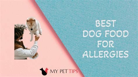 Top 10 Best Dog Foods for Allergies - Get the Best for Your Dog