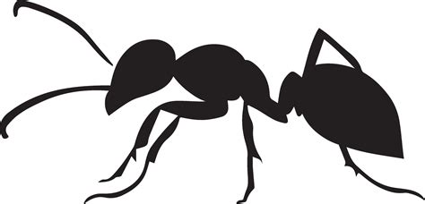 Ant vector silhouette illustration black color 27475847 Vector Art at Vecteezy