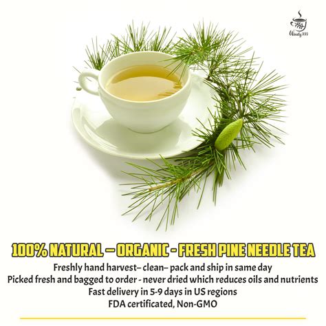 Fresh White Pine Needle Tea, Pine Needle for Tea, Pine Needle Tea Organic, White Pine Needle Tea ...