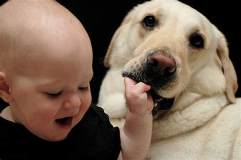 Cute Baby Playing With Dog