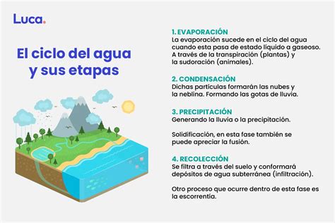 El ciclo del agua, proceso fundamental para la vida