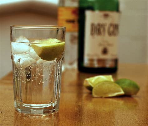 How to Make Gin and Tonic? History, Ratios, and More - InterplayCorp