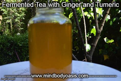 Fermented Tea with Ginger and Turmeric – Mind Body Oasis