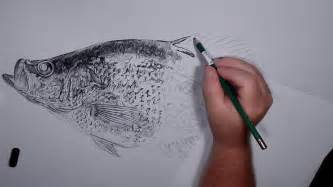 Crappie Drawing - YouTube