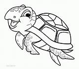 Coloring Pages Sea Turtle Printables  Home sketch template