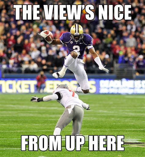 The View's Nice From Up Here | Washington huskies football, Huskies football, Seattle sports