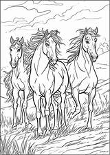 Free Coloring Pages Of Horses To Print  Sheet Printables sketch template