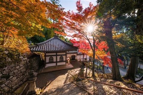 2020 Japan Fall Colors Forecast & Autumn Foliage Viewing Guide - Travel Caffeine